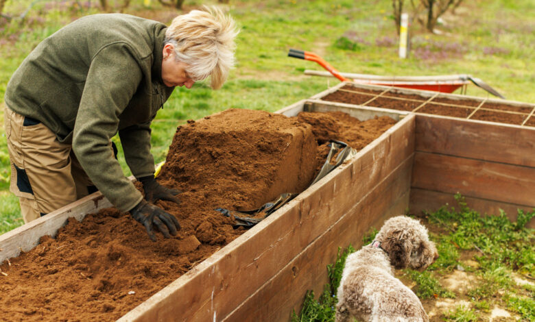 How to Get Rid of Ants in Raised Garden Beds
