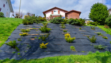 Why Landscape Fabric Increases Runoff on Sloped Yards