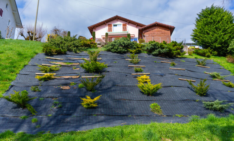 Why Landscape Fabric Increases Runoff on Sloped Yards