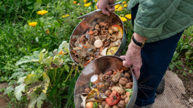 Gardener Transforms Old Wooden Boards Into a Functional DIY Compost Bin